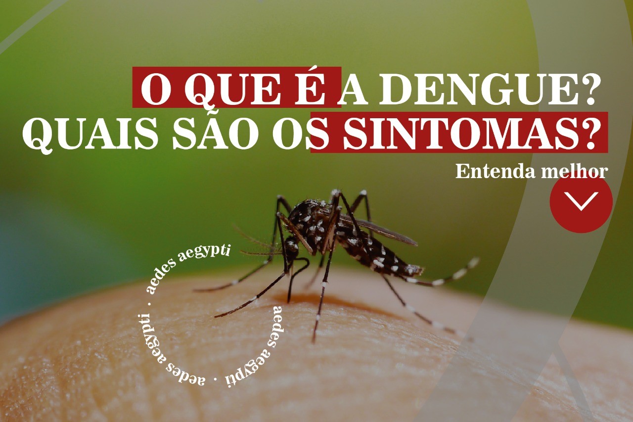 O que é dengue? Quais são os sintomas?