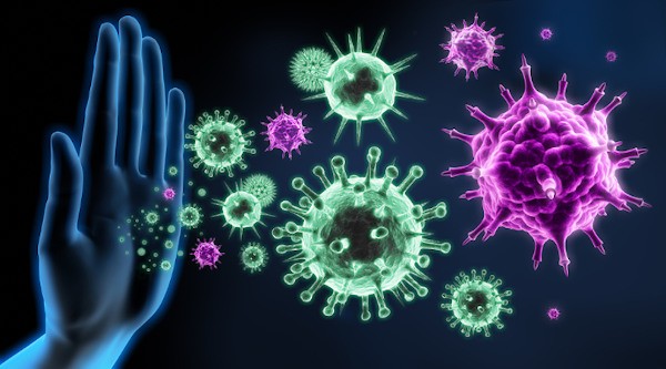 Imunidade, como funciona o nosso Sistema Imunológico